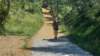 _121343_small.jpg