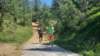 _122229_small.jpg