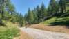 _124637_small.jpg