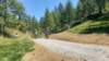 _125939_small.jpg