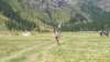 _142353_small.jpg