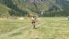 _142354_small.jpg