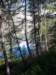 img20180819wa0011_small.jpg