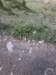 img20180819wa0016_small.jpg
