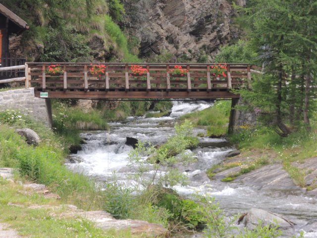 photo40.jpg