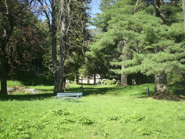 pict0040.jpg