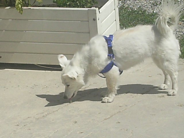 pict0135.jpg