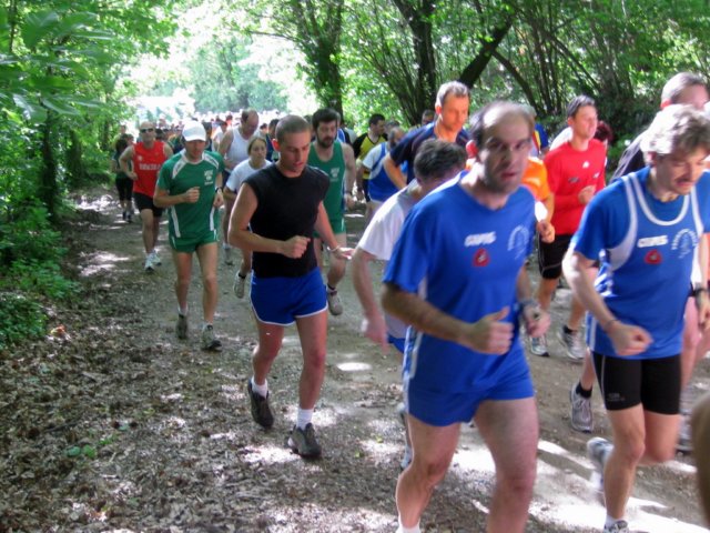 img_1145.jpg
