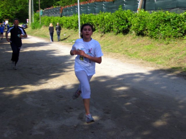 img_1179.jpg