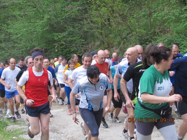 img_2231.jpg