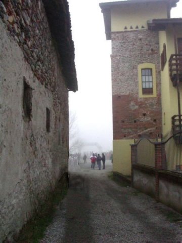 pokermolinomarco002.jpg