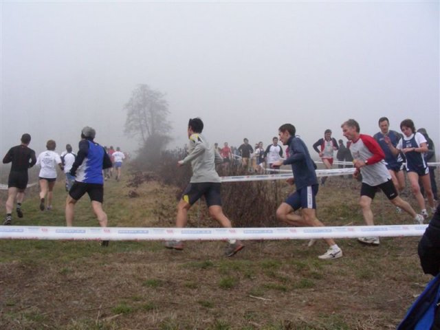 pokermolinomarco086.jpg