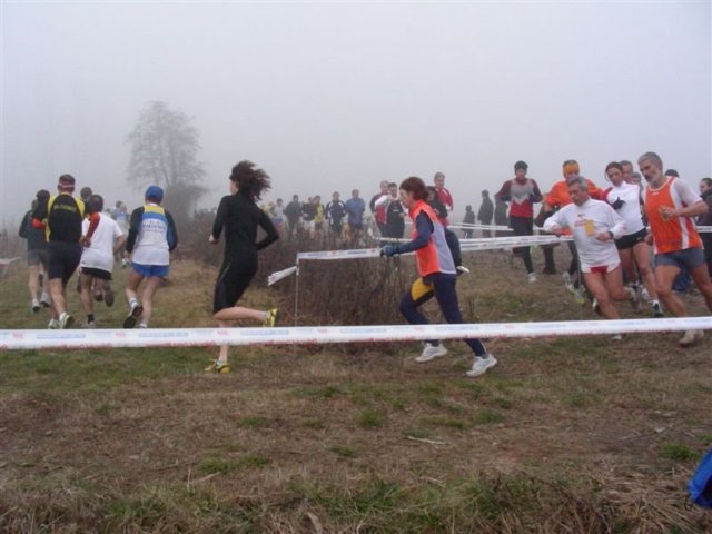 pokermolinomarco096.jpg