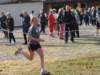 img_2393_small.jpg