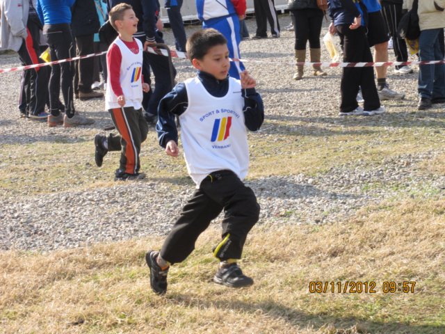 img_2532.jpg