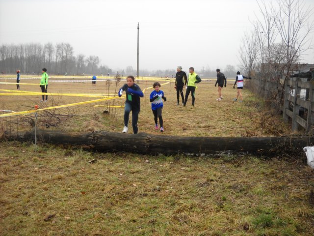 dscn2442.jpg