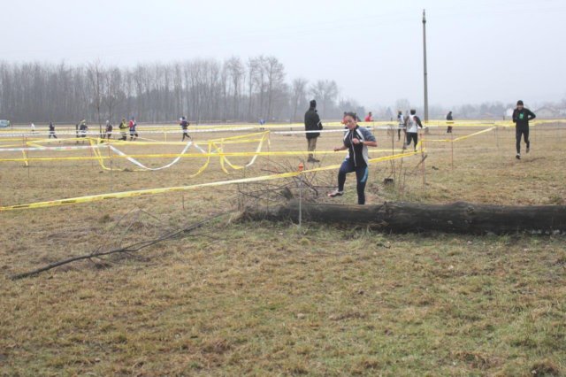 img_1461.jpg