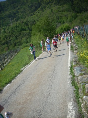 giotorino058.jpg