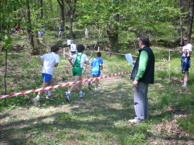 giotorino063.jpg