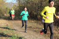 img_7767_small.jpg