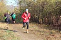 img_7823_small.jpg