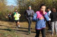 img_7864_small.jpg