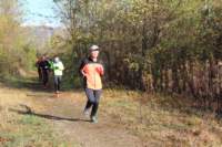 img_7942_small.jpg