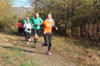 img_7951_small.jpg