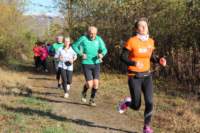 img_7952_small.jpg