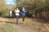 img_7961_small.jpg