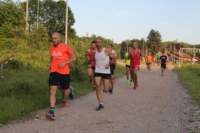 img_8305_small.jpg