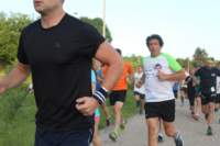 img_8364_small.jpg