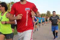 img_8368_small.jpg