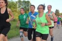 img_8383_small.jpg