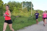 img_8384_small.jpg