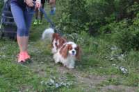img_8806_small.jpg