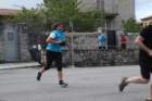 img_3519_small.jpg