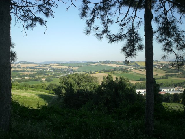 pict0274.jpg