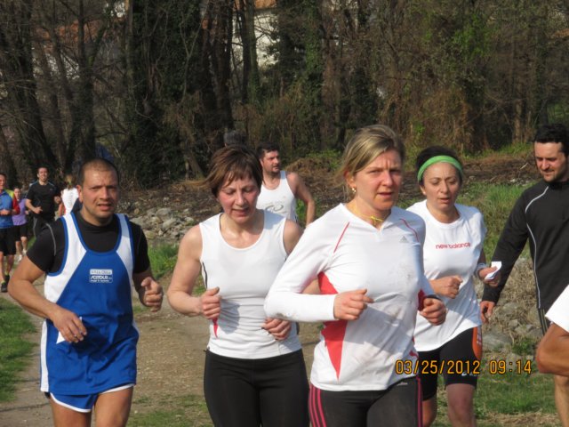 img_3446.jpg