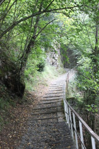 img_1639.jpg