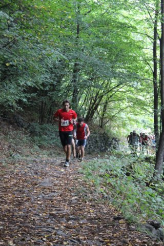 img_1668.jpg