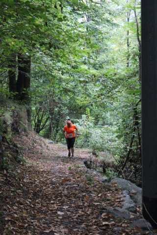 img_1696.jpg
