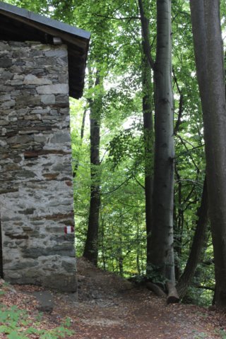 img_1714.jpg