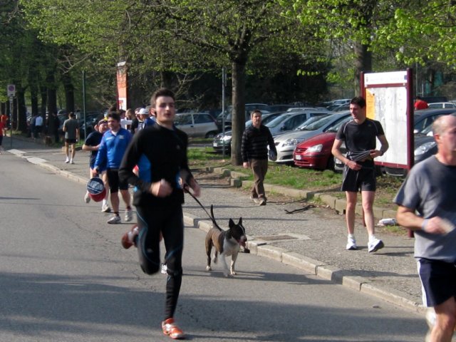 img_3967.jpg