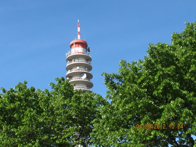img_5548.jpg