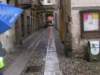 fotocampioliorta8112009009_small.jpg