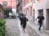 fotocampioliorta8112009173_small.jpg