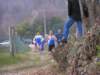 pict8381_small.jpg