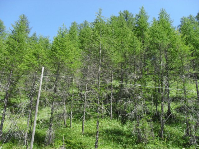 deverotrail092.jpg