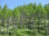 deverotrail092_small.jpg